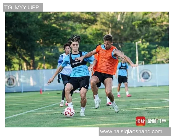 深圳排球队战术争议引发热议球迷与专家各抒己见探讨未来方向