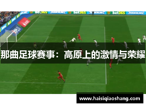 那曲足球赛事：高原上的激情与荣耀