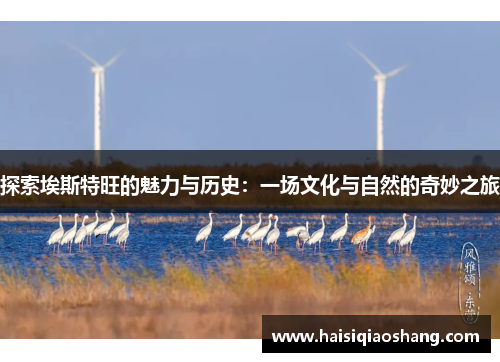 探索埃斯特旺的魅力与历史：一场文化与自然的奇妙之旅